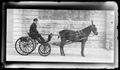 Ritratto di uomo in carrozza