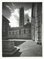Siena, piazza Duomo
