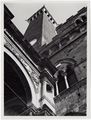 Siena, torre del Mangia