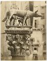 Giovanni e Lorenzo di Turino, 'lupa con i gemelli', scultura bronzea sopra una colonna di fronte al palazzo Pubblico di Siena.