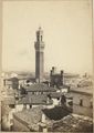 Siena, veduta della torre del Mangia