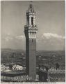 Siena, veduta della torre del Mangia