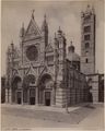 Siena, il duomo
