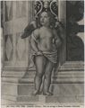 Pinturicchio, 'putto', affresco della Libreria Piccolomini nel duomo di Siena