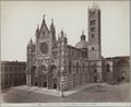 Siena, il duomo
