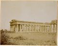 Paestum, veduta del tempio di Nettuno