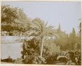 Roma, terrazza sul Pincio