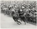 Siena, la corsa del Palio