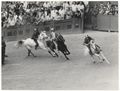 Siena, il Palio