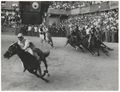 Siena, il Palio