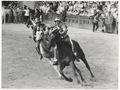 Siena, il Palio